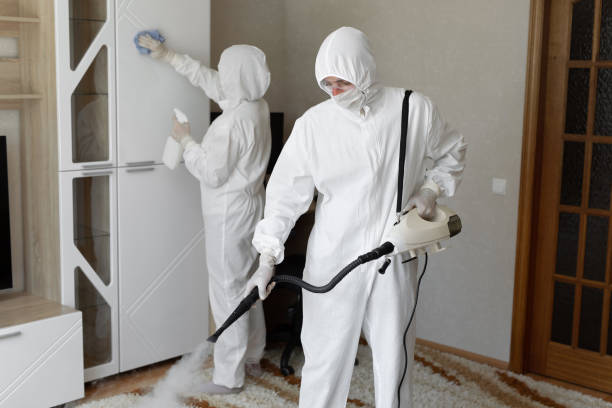 Best Commercial Mold Remediation in New Carlisle, OH